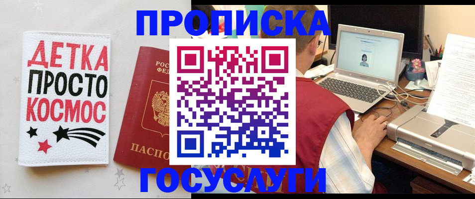 прописка гарантия в Елизово